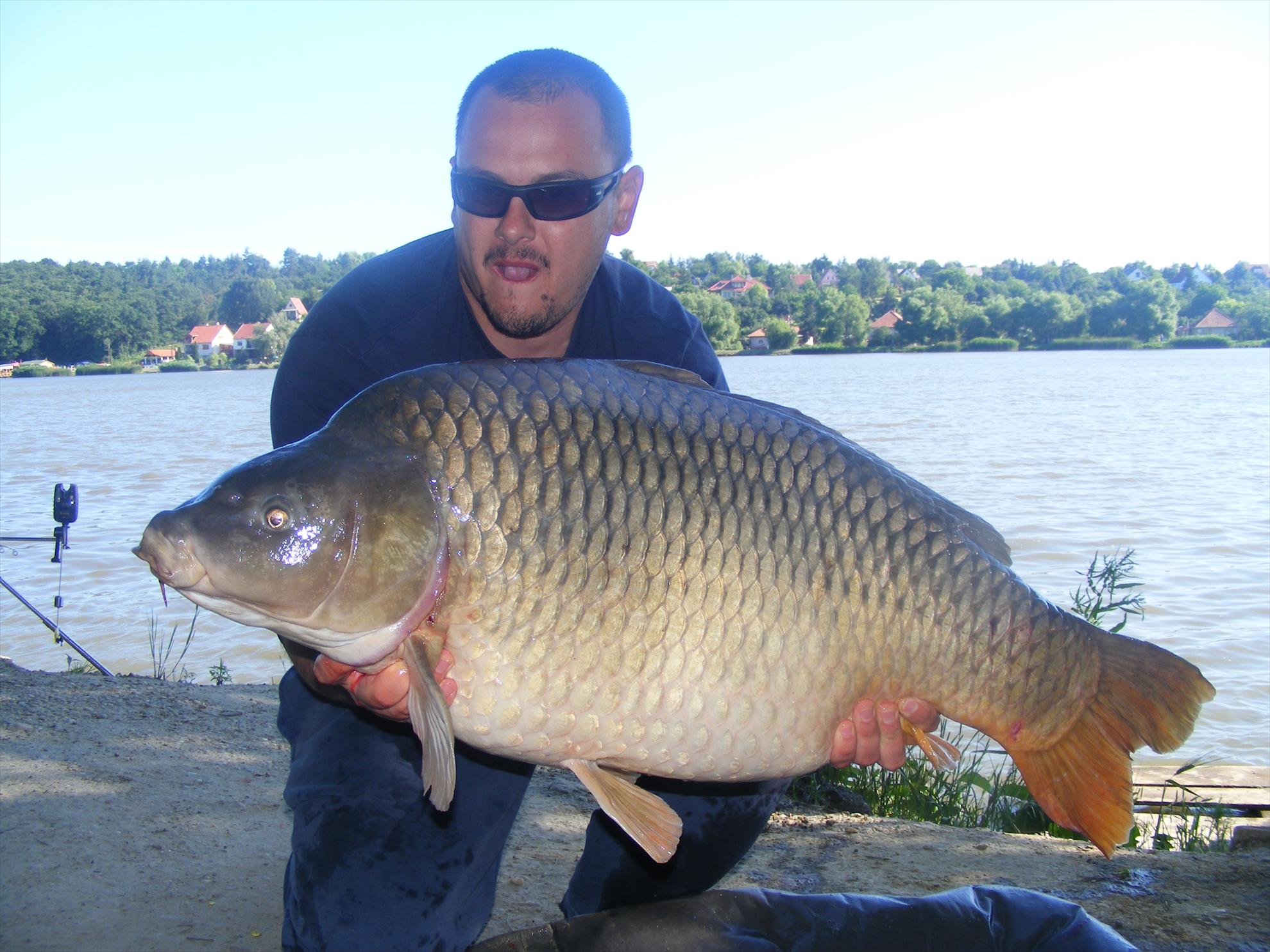 Harsanyi 2013 - dscf6325.JPG